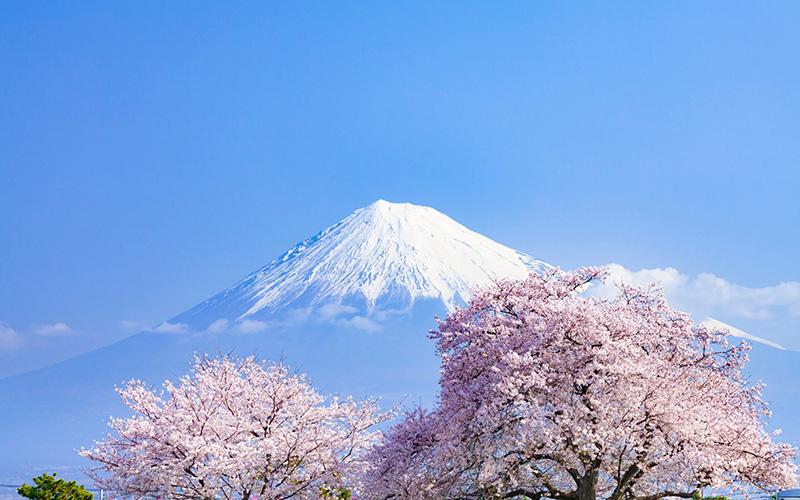 移民日本